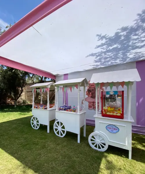 Galería de snacks cumpleaños infantiles​