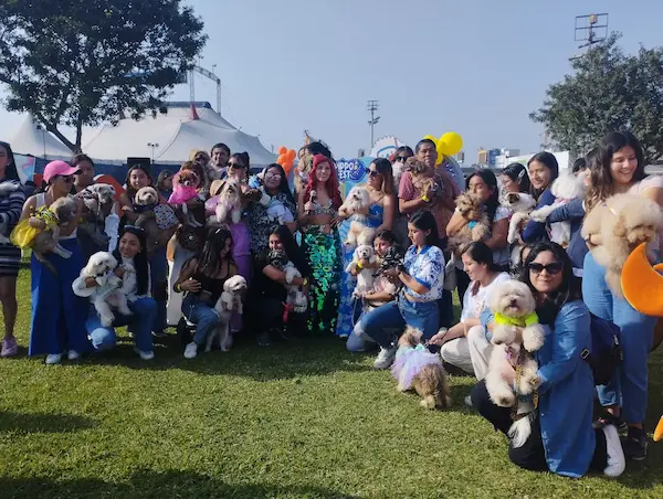 Descubre nuestra variedad de fiestas de cumpleaños para mascotas