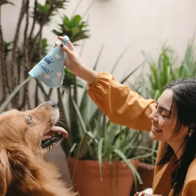 Personal capacitado en actividades con mascotas