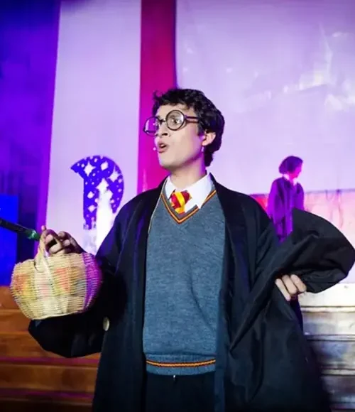 show infantil de Harry Potter